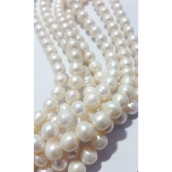 Perla Blanca natural 10.5mm