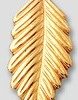 Chiche pluma