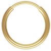 Aro argolla Gf 12mm