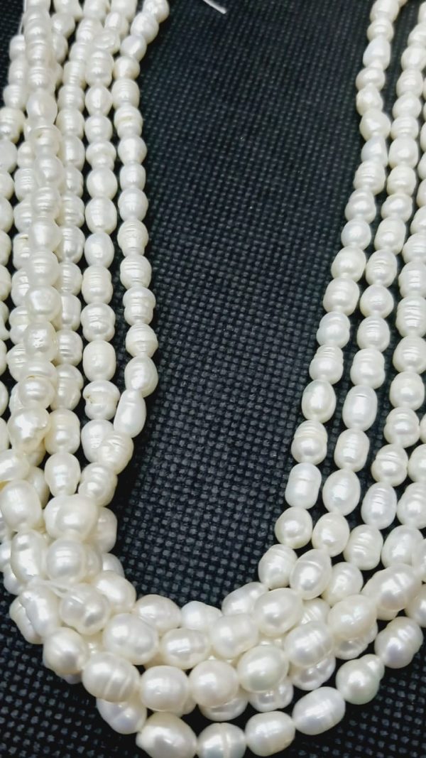 Perla 5.5 mm