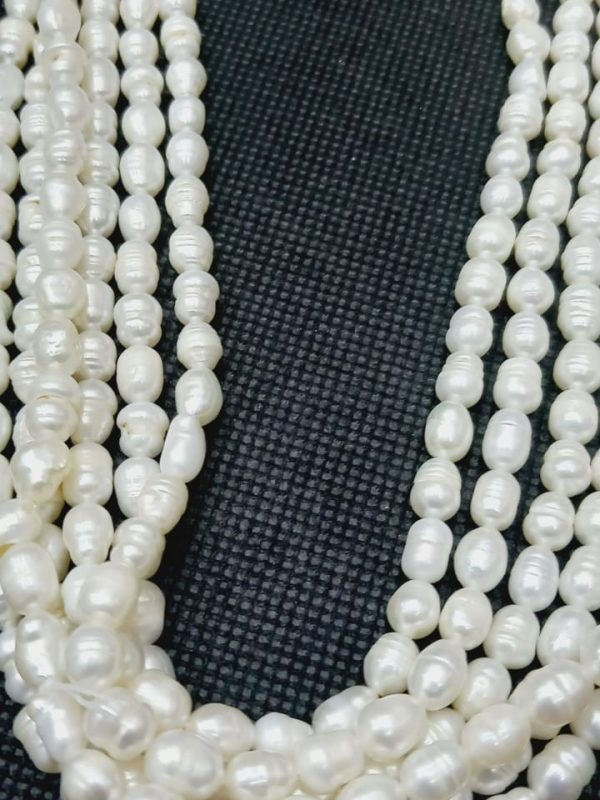 Perla 5.5 mm