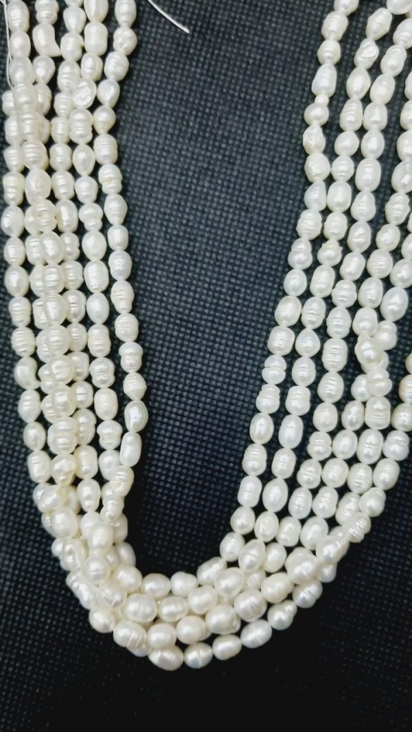 Perla 5.5 mm