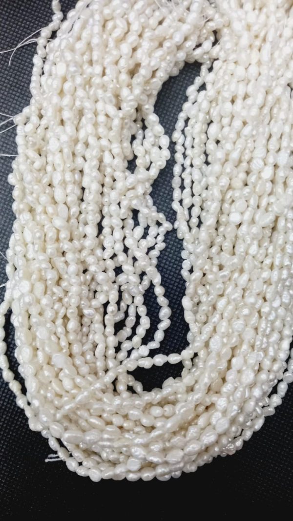 Perla Arroz 2.6x5 Perla Arroz 2.6x5