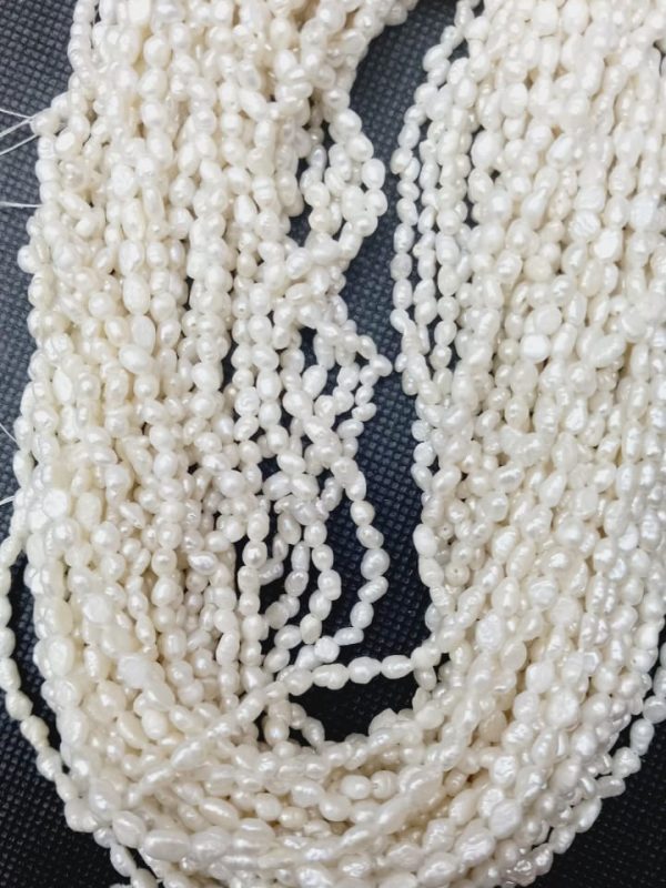 Perla Arroz 2.6x5