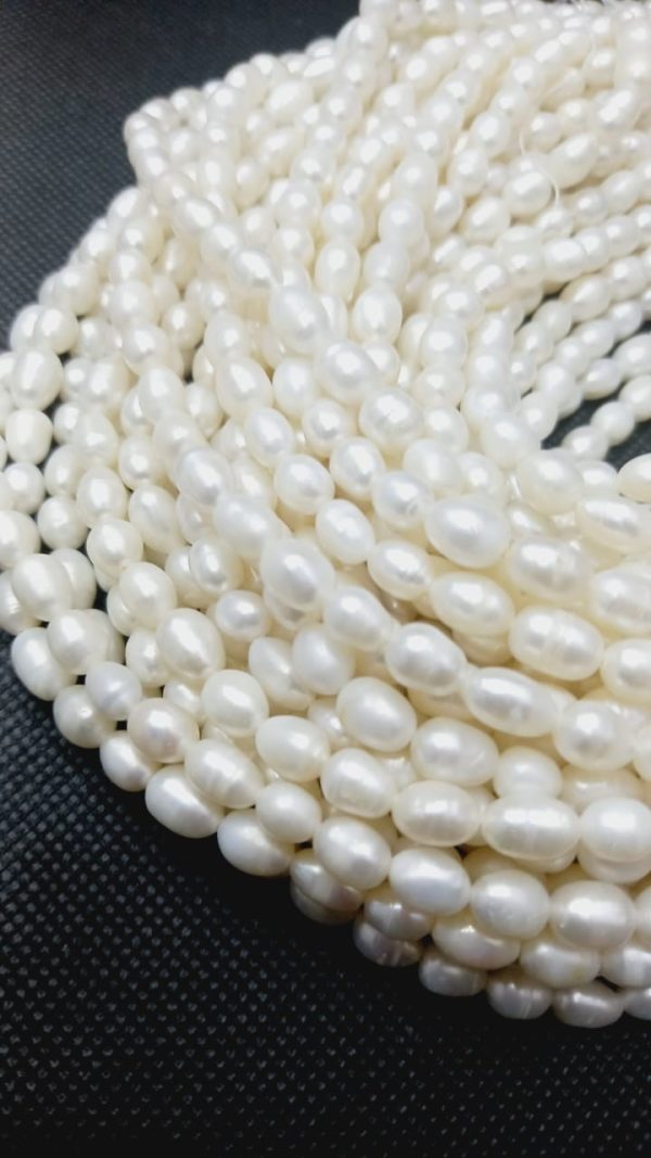 Perla 6mm Perla 6mm