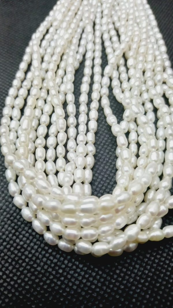 Perla