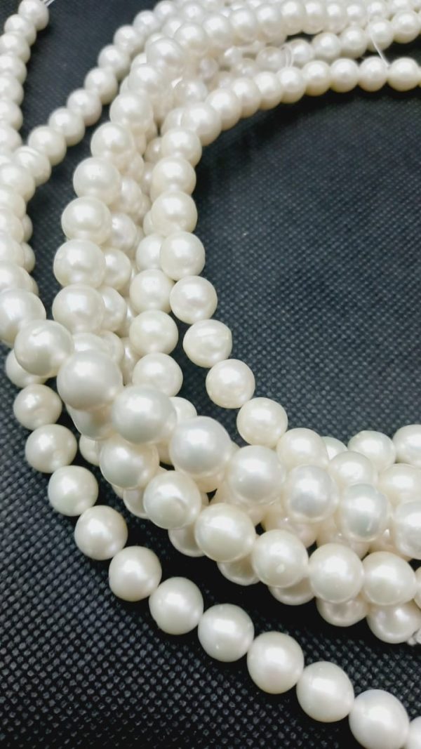 Perla 8.0 mm