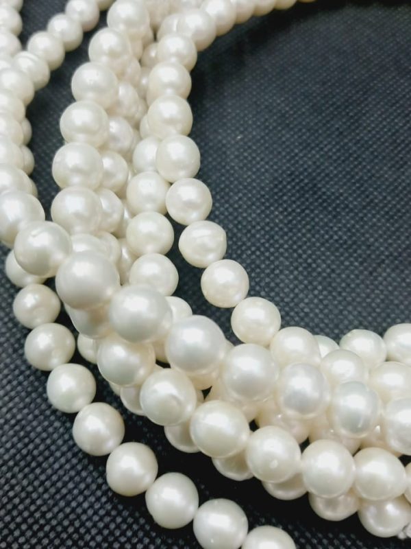 Perla 8.0 mm