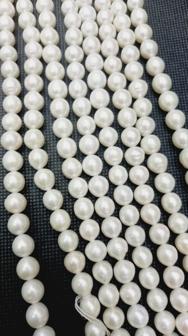 Perla 8.0 mm