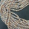 Perla 7.0 mm Perla 7.0 mm
